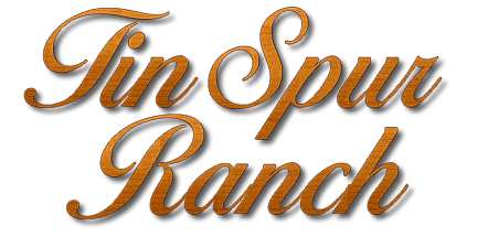Tin Spur Ranch | Wedding & Special Event Center Venue for Victoria TX